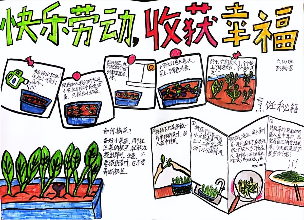 合肥市五一小学:开心耕耘田园幸福“芒种”收获