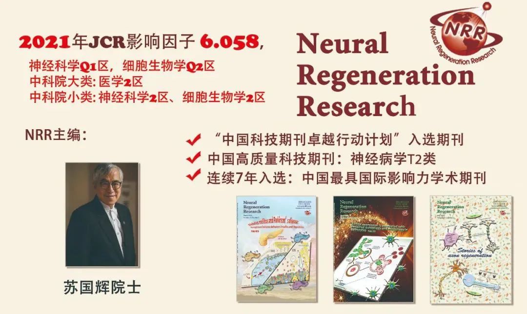 nrr杂志2024年,nrr杂志怎么样