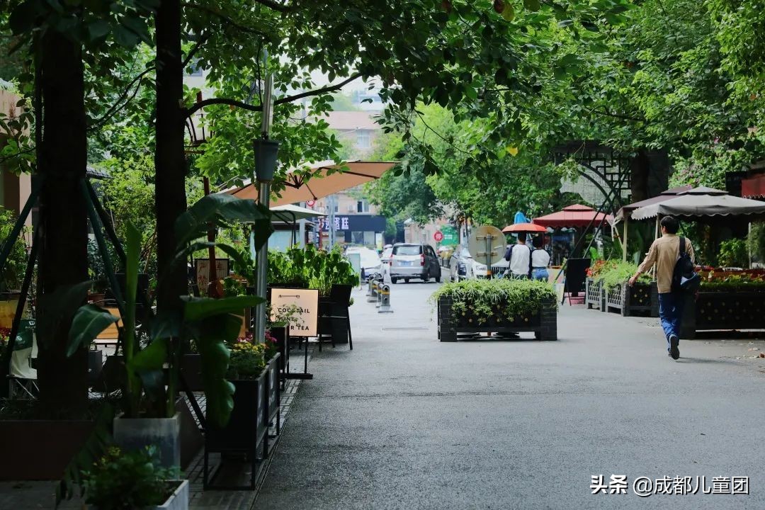 泡桐树街区,北京泡桐树街