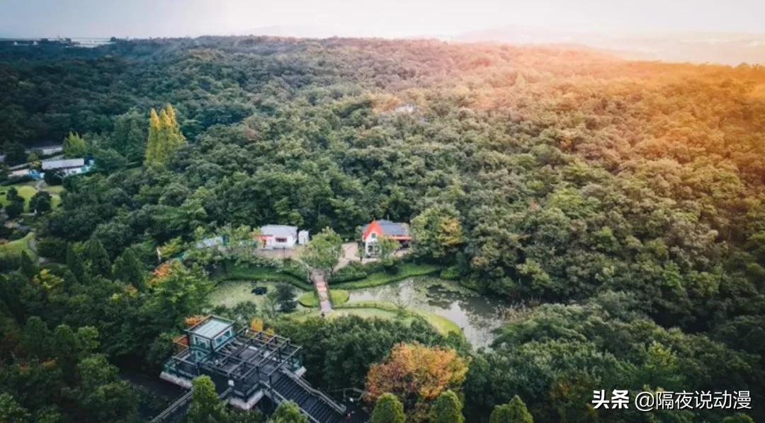 非去不可的理由有什么,非去不可的理由有哪些