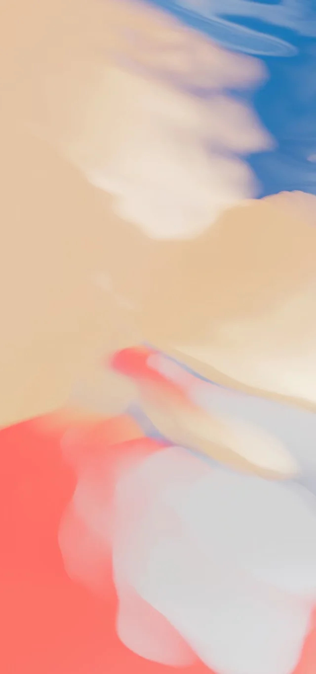 蝴蝶结亮晶晶壁纸,亮晶晶的壁纸