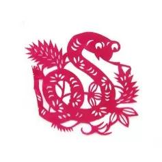 6月26日十二生肖运势详情,6月21日十二生肖运势解析