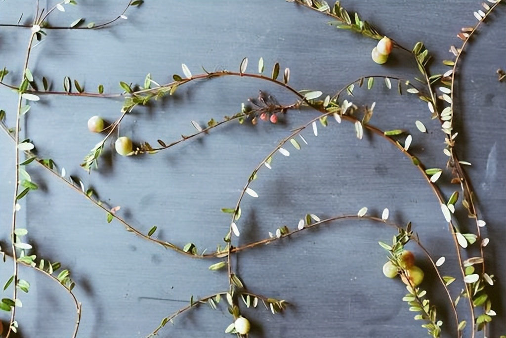 到底是糊涂还是迷途,到底什么是糊涂