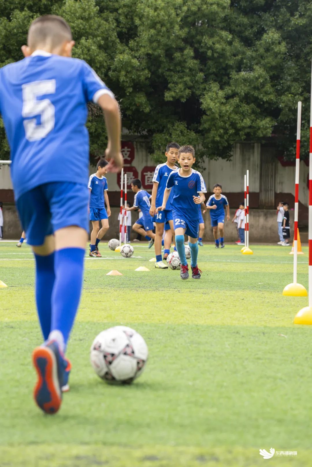 武汉市东西湖区比较好的学校,看东西湖有哪些好玩的地方
