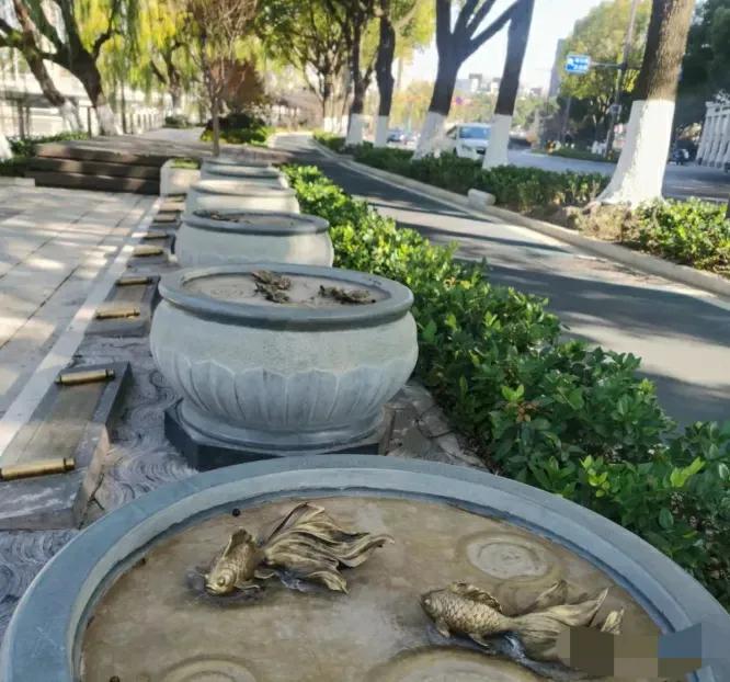 家里养金鱼经常死是什么原因,家里养金鱼是养单数还是双数