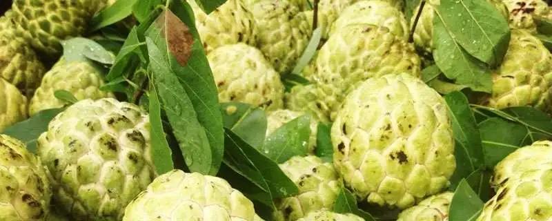 台湾水果滞销积压视频,台湾水果滞销东南亚