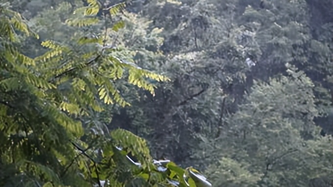 如果你突然被蛇吞下，能否划开蛇肚出逃？科学家作死实验走进蛇窝