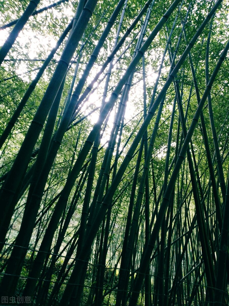 郭进拴重庆品火锅,郭进拴平湖春歌