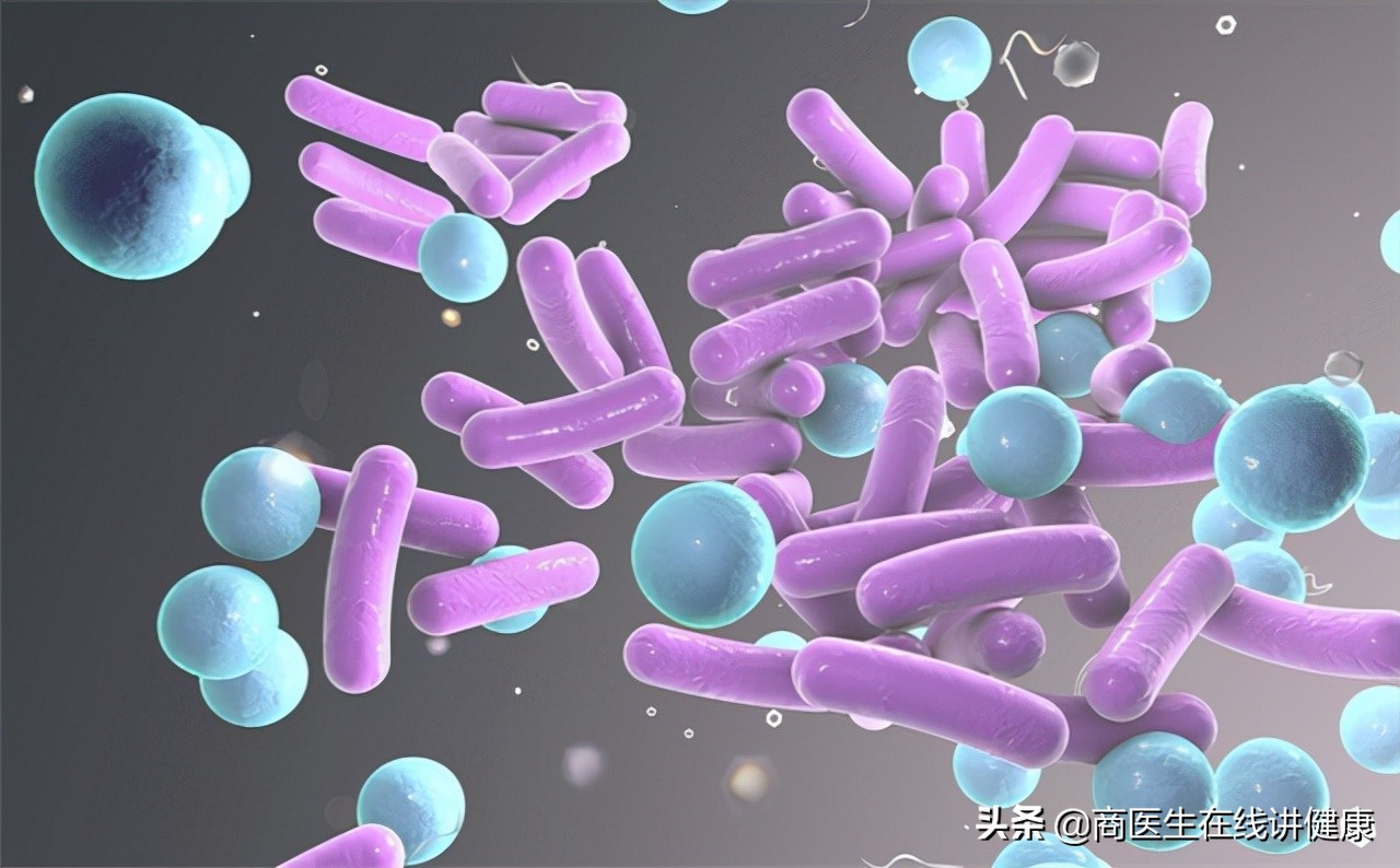 疥螨虫病怎么引起的,疥螨感染是什么意思