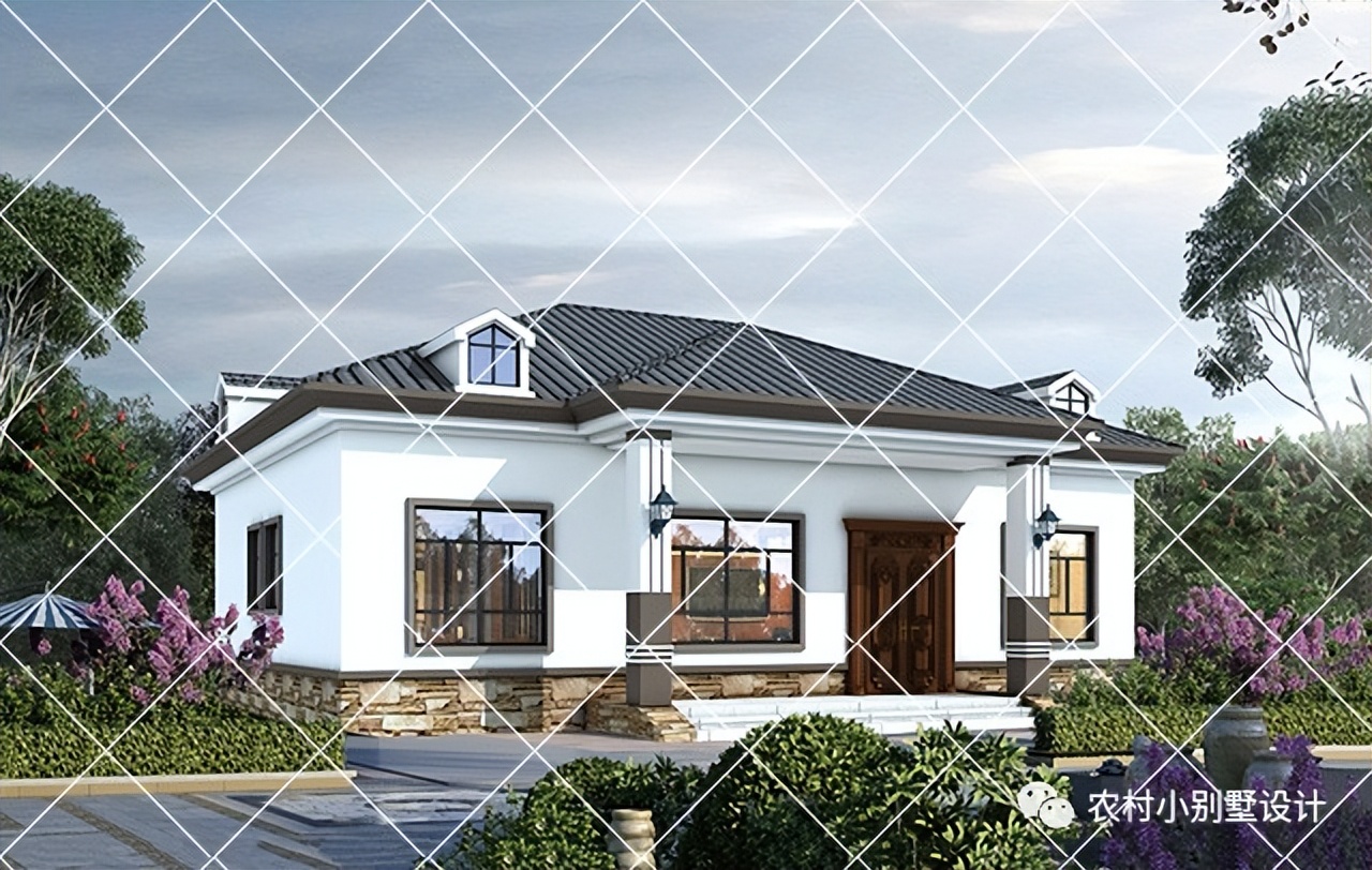 一层半层小别墅新款农村自建房,农村自建房一层别墅设计最新款