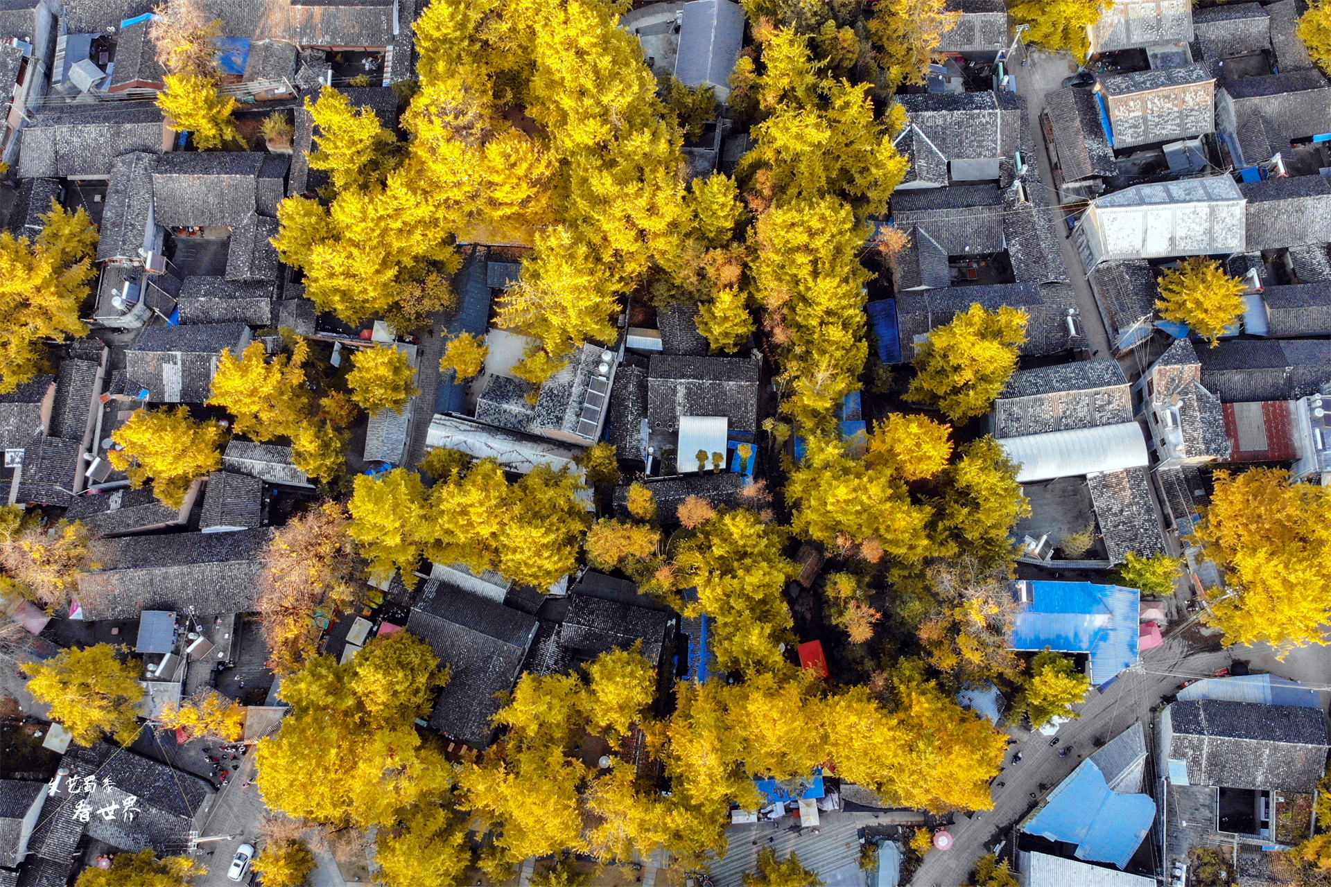 退休了非要找一个四季宜居的地方，推荐云南腾冲，不冷不热刚刚好