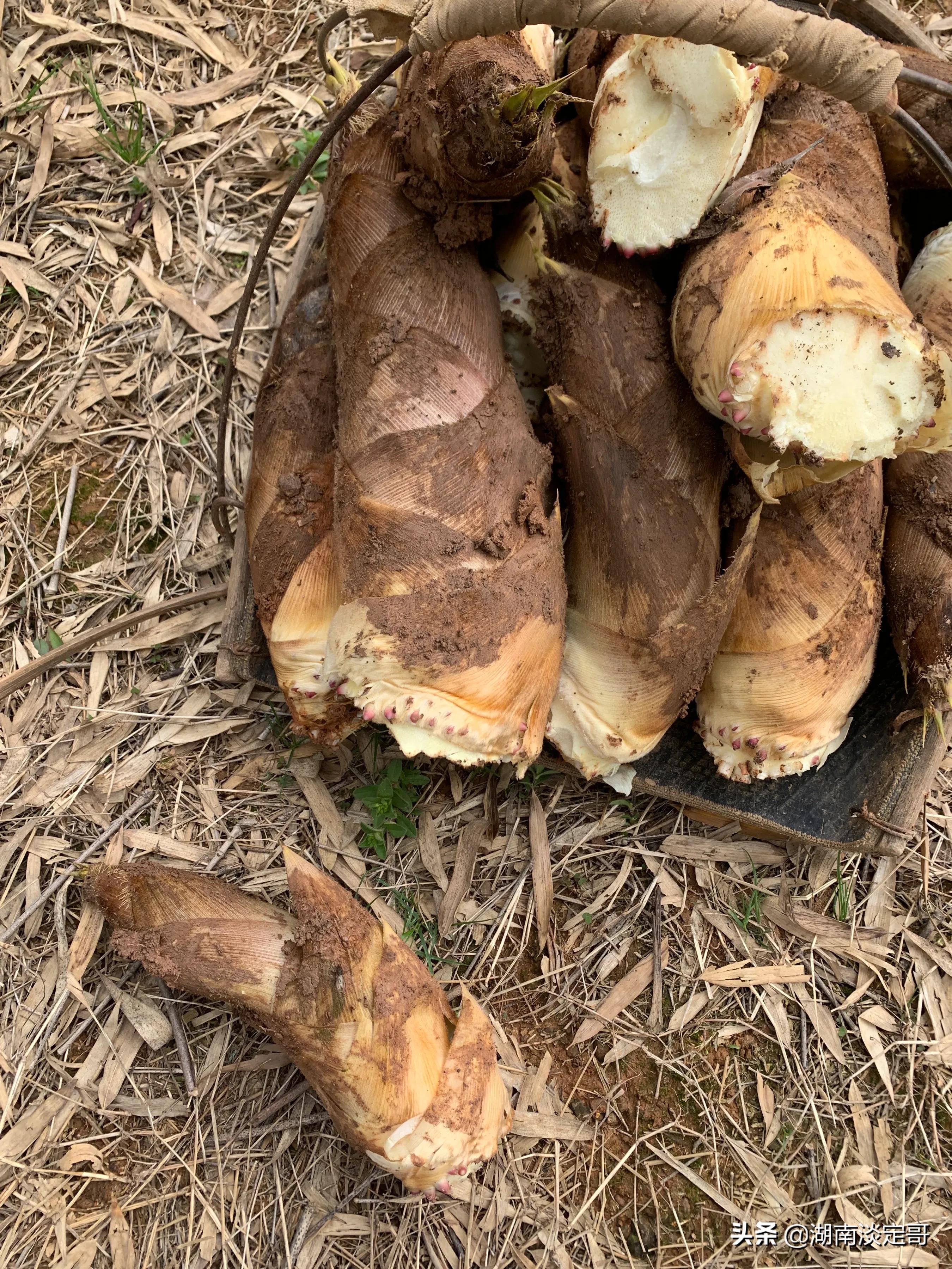 湖南人来广东的感受,湖南人来江苏旅游