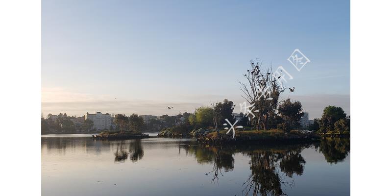 7旬老太闹分居,7旬老太拒不腾房