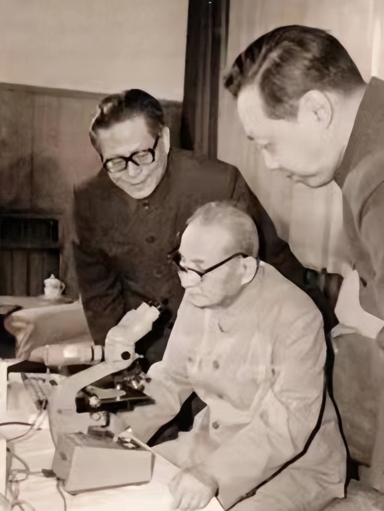 「怀念」“把电子工业搞上去”