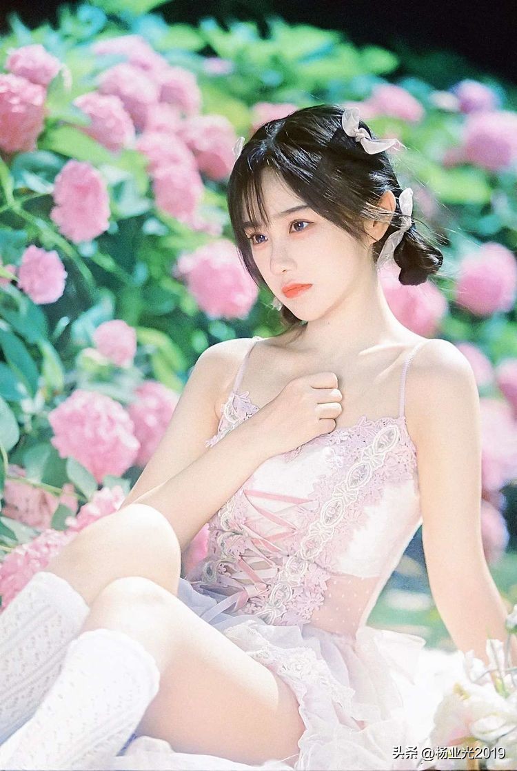 兰花原创七律,春意盎然七律原创诗