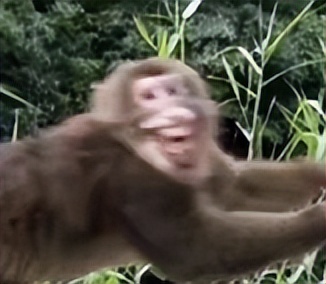 罗技logitech设备,罗技logitech音箱