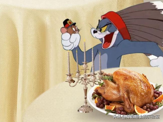 《猫和老鼠》其实不是儿童动画片而是成人片