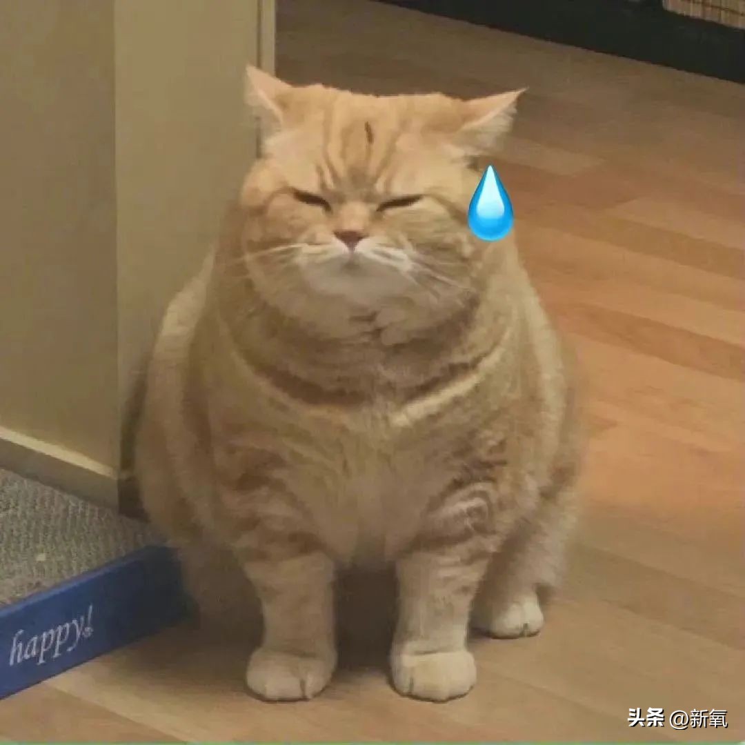 挺着大肚子逼退小三9年后，她终于复出了