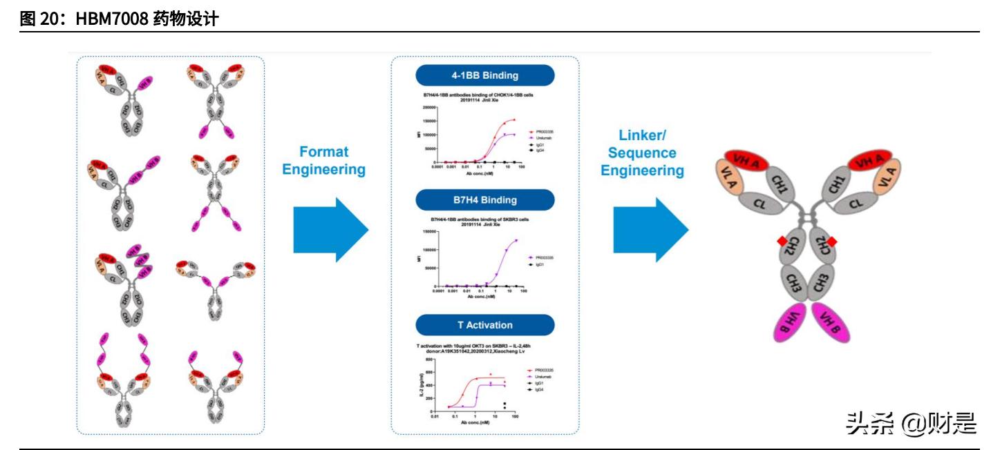 和铂医药是国企吗,和铂医药深度分析