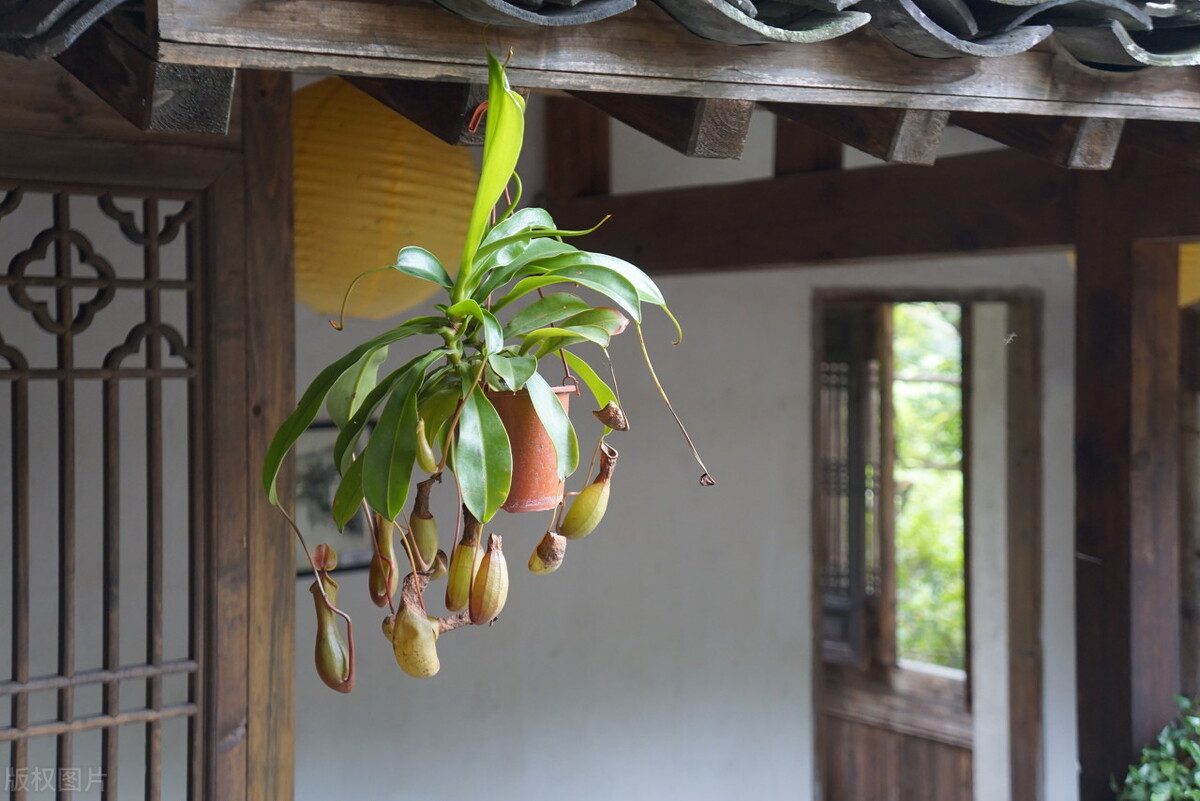 期货高手是如何交易,期货高手是如何操作股票的