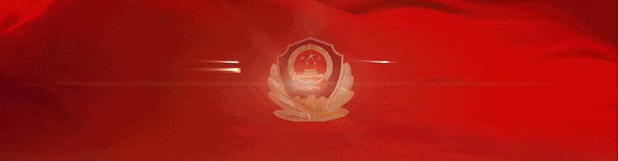 商品被查重金属超标,您购买的产品有质量问题