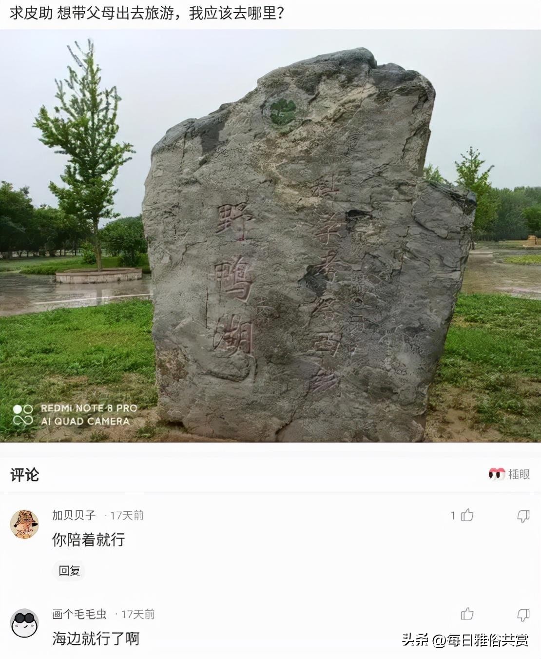 盐选神回复巧妙避开所有重点,盐选神回复