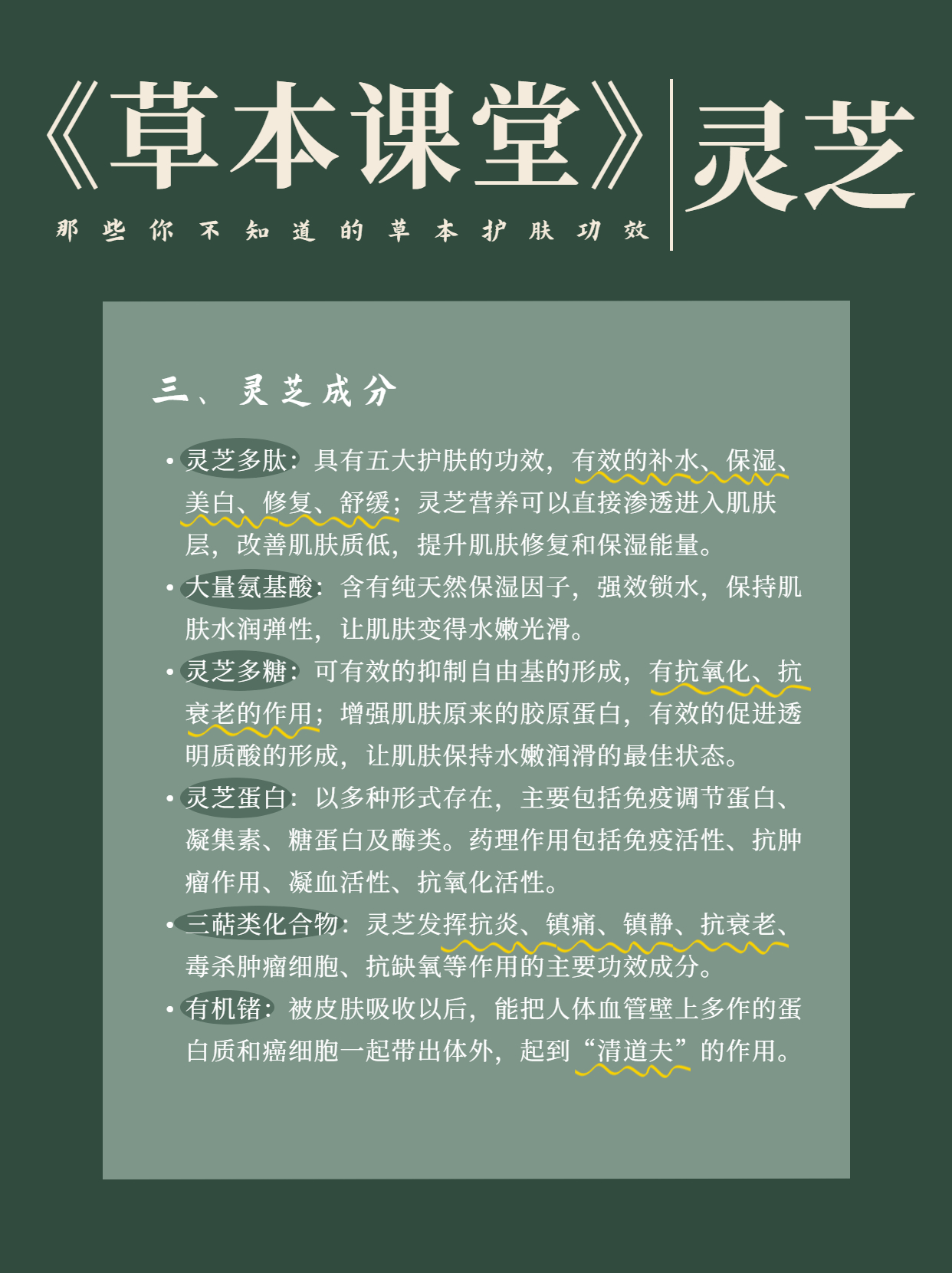 灵芝有美白的功效吗,灵芝抗衰老秘诀