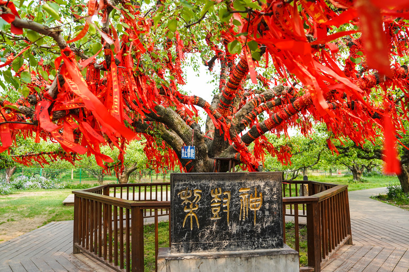 宿州两日游,安徽宿州一日游推荐