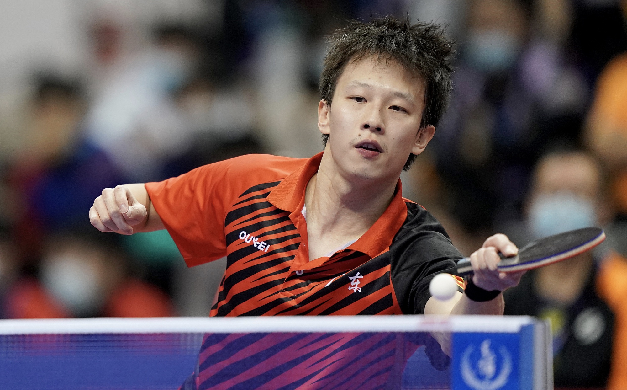 国乒世界冠军输了谁,国乒男团击败德国队夺冠刘国梁