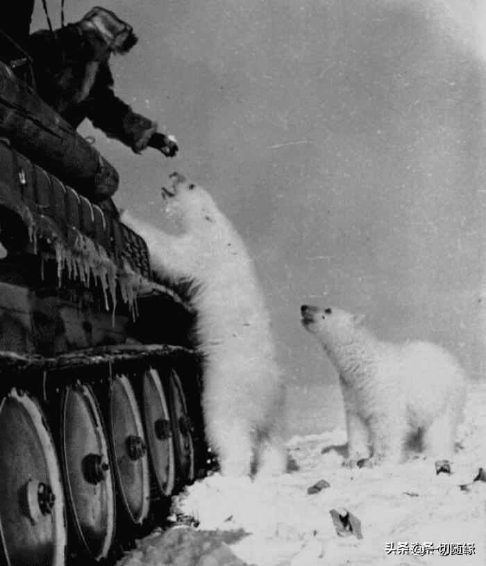 晚清真实：花楼女子媚态撩人，丰乳肥臀，30张老照片尽展风姿迷人