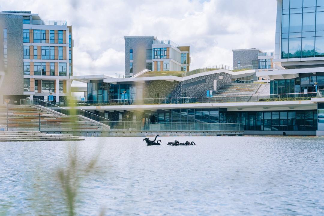 【院校介绍】北京师范大学-香港浸会大*联学**合国际学院2023年甘肃省志愿填报指导