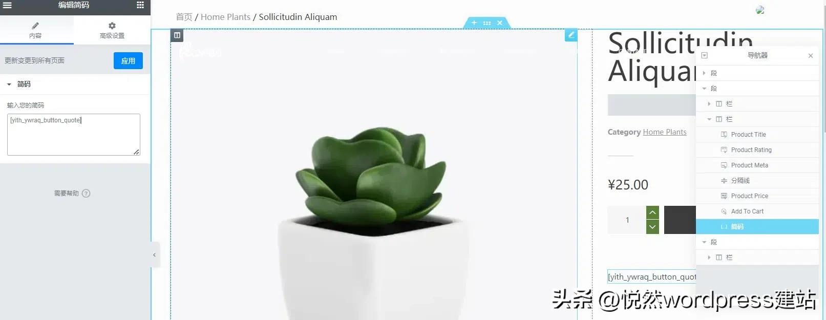 wordpress建站教程模板,wordpress外贸建站服务器怎么选