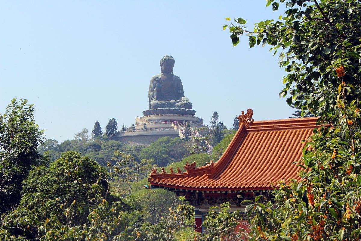 胆真大的假尼姑，开豪车住豪宅夜夜笙歌，把寺庙当做摇钱树！