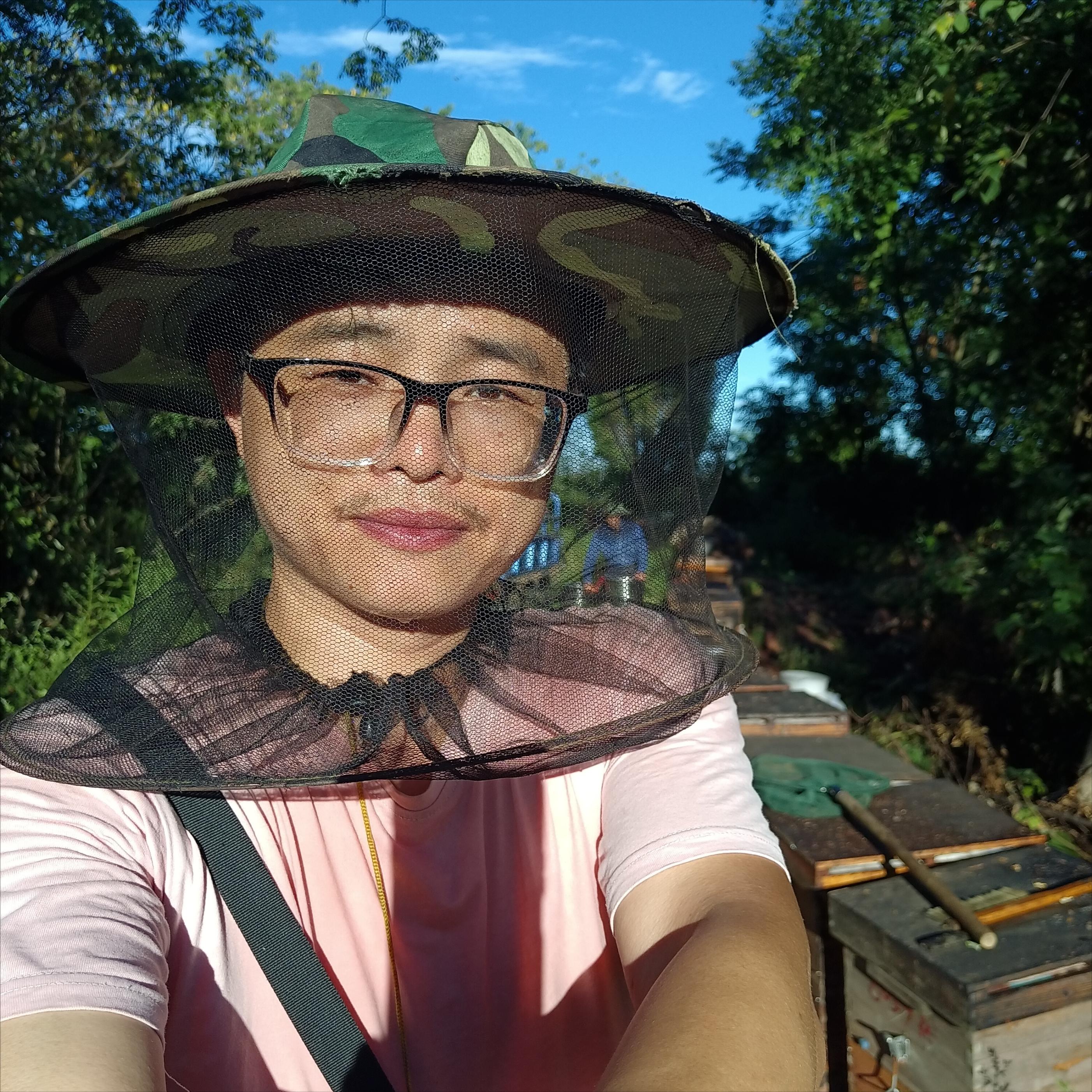 第一次被蜜蜂蛰是怎样的感觉,额头被蜜蜂蛰了没什么大的感觉