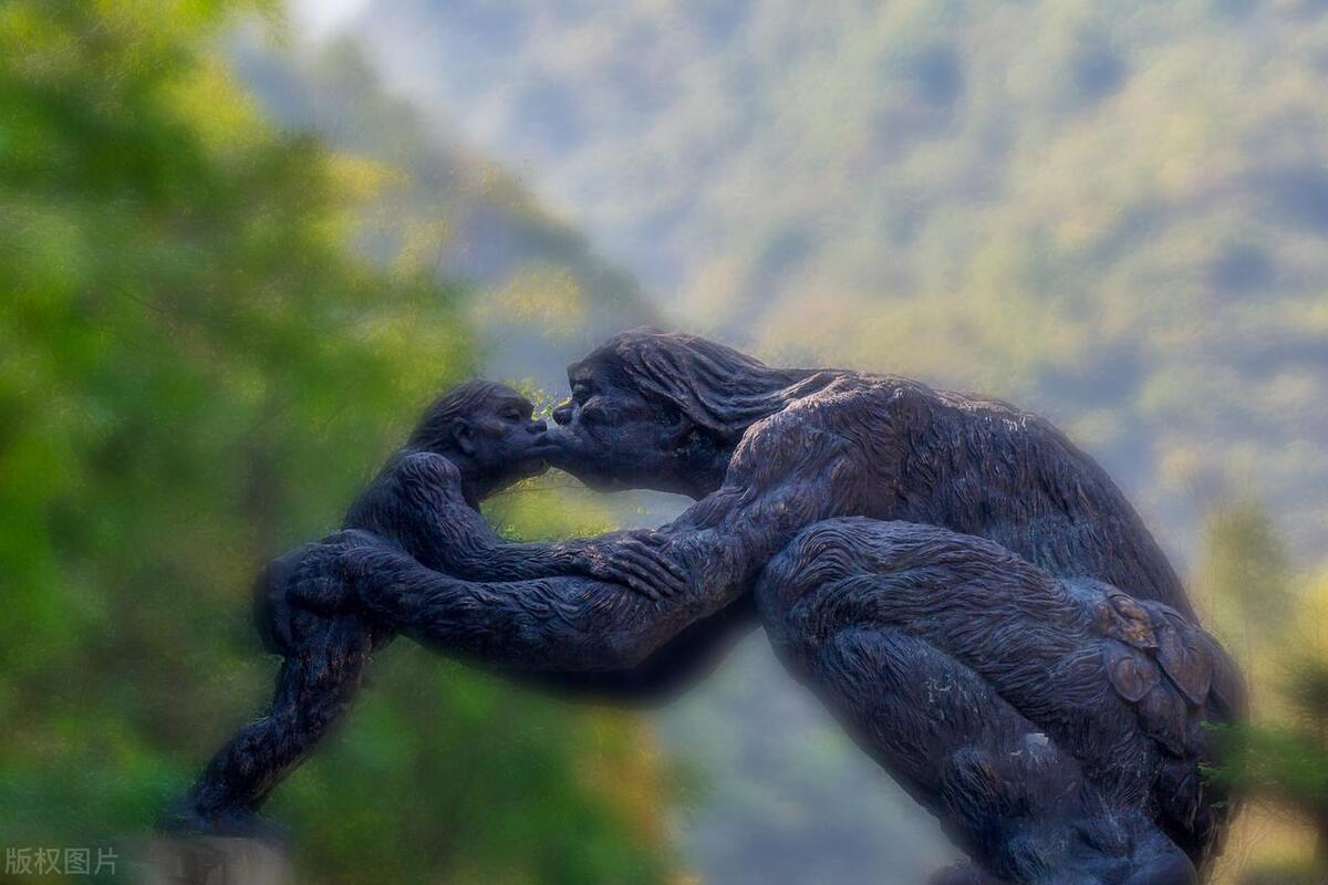 美国大脚怪,北美大脚怪真实事件