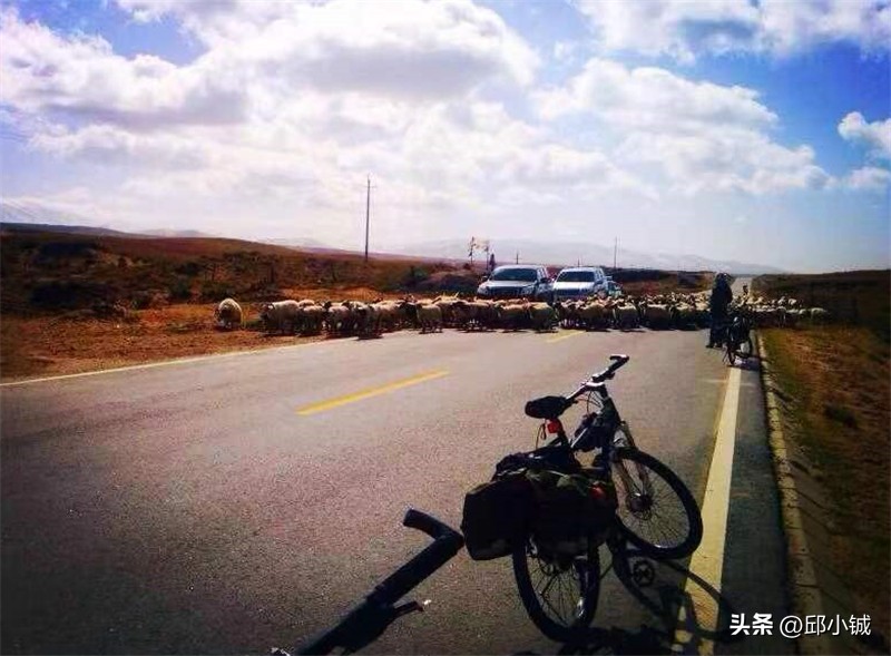 铖品记丨从单车骑行到“4+2”，解锁更多旅途风景