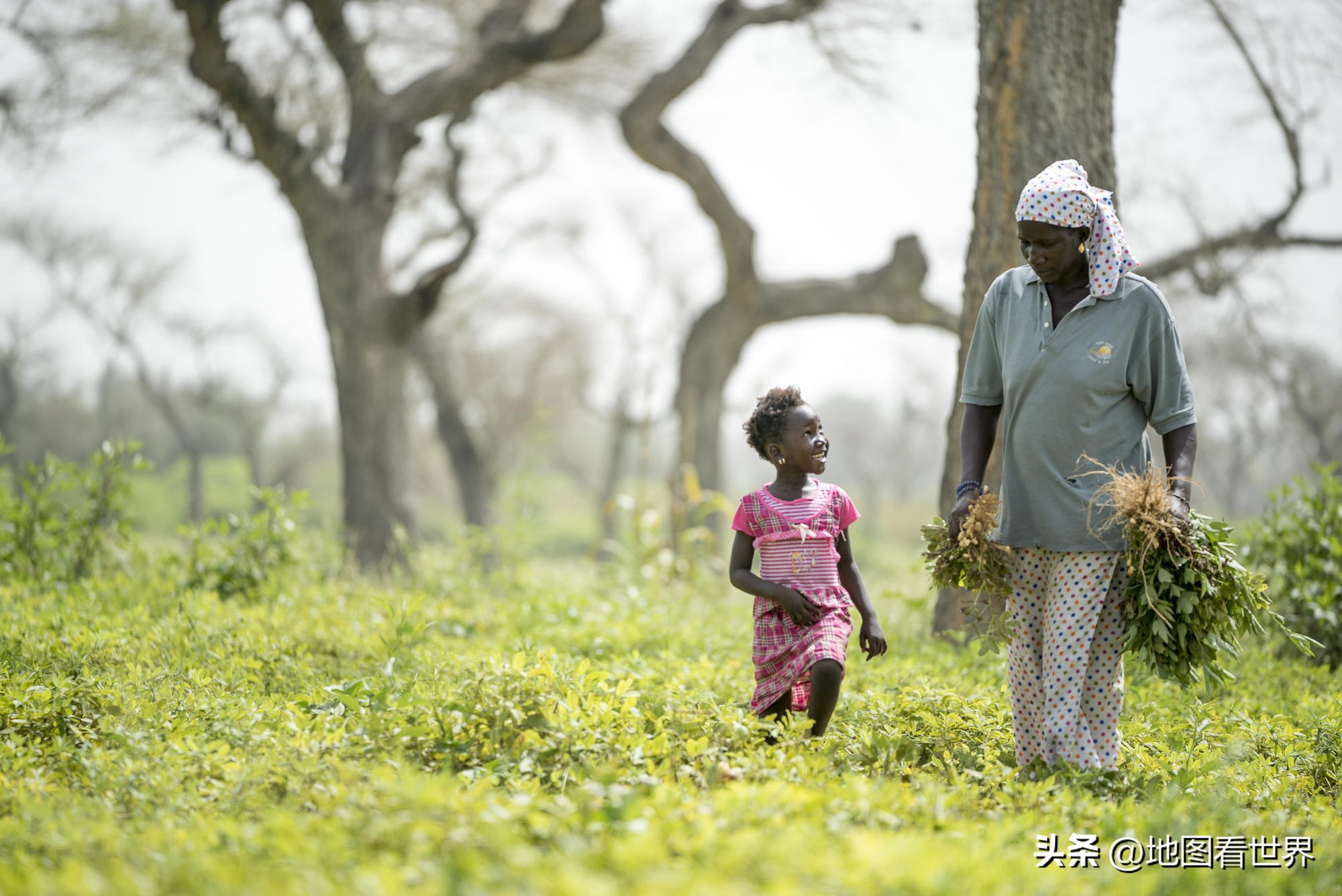 2022年世界杯参赛国家排名,世界国家趣谈