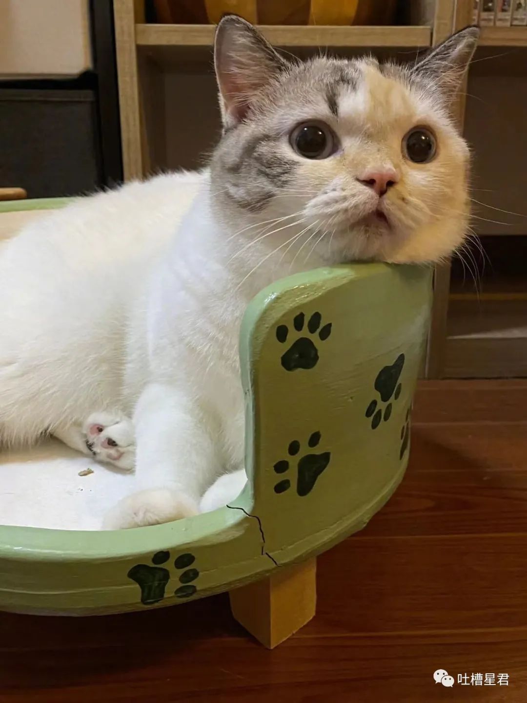 花1.4万吃了顿午饭后，全国人民都知道我了哈哈哈哈