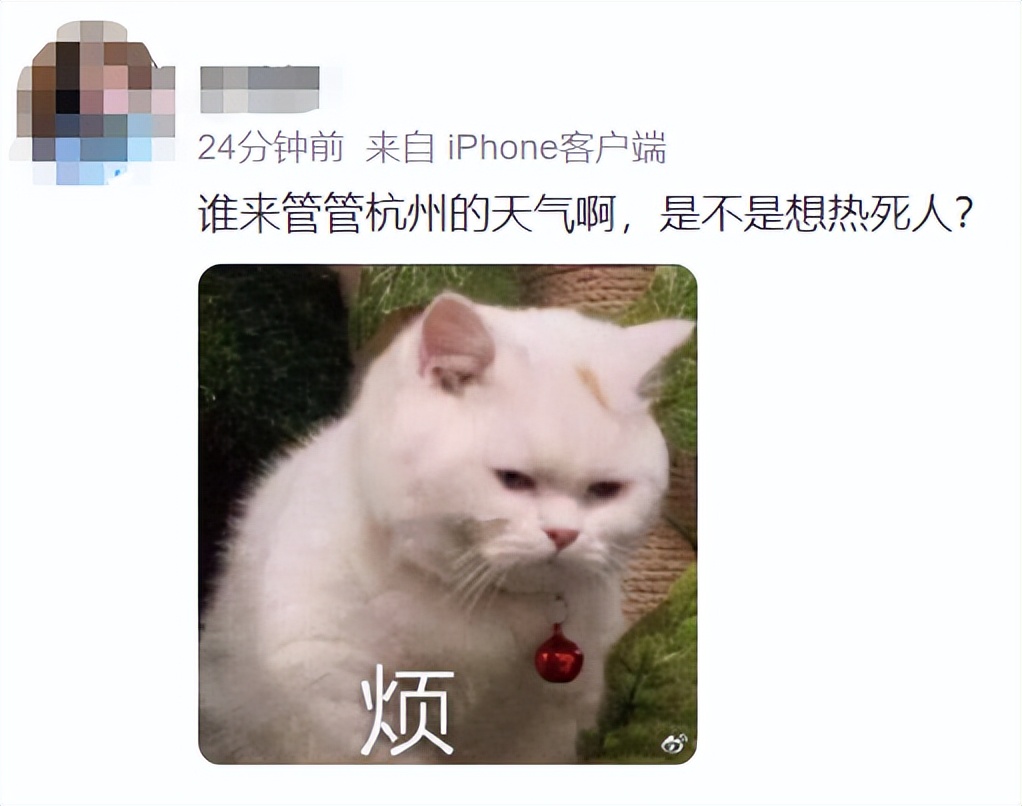 红过*疆新**！刚刚，浙江热成全国第一！紧急提醒→