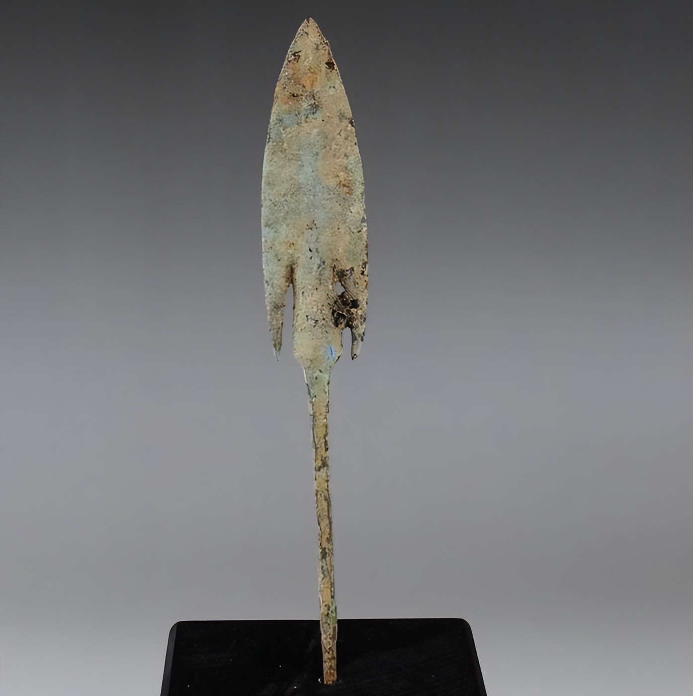 璁茶В寮撶鐭ヨ瘑,寮撶鍩虹鐭ヨ瘑鐞嗚