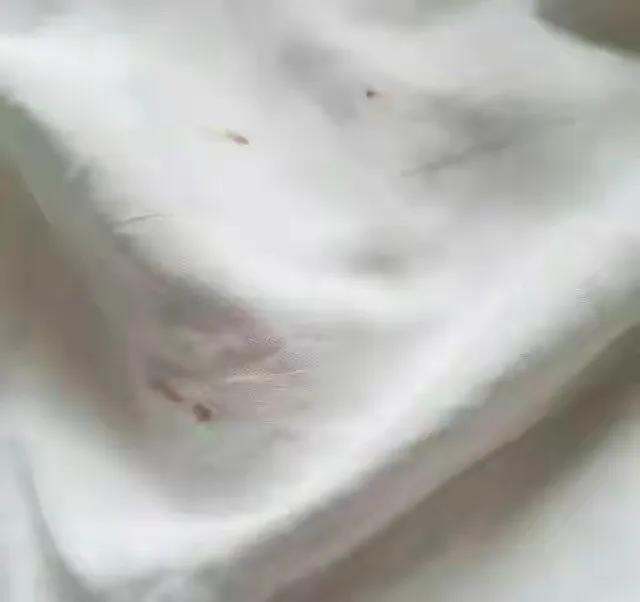 住酒店大姨妈来了弄脏床单怎么样,住酒店大姨妈弄脏床单要赔钱吗