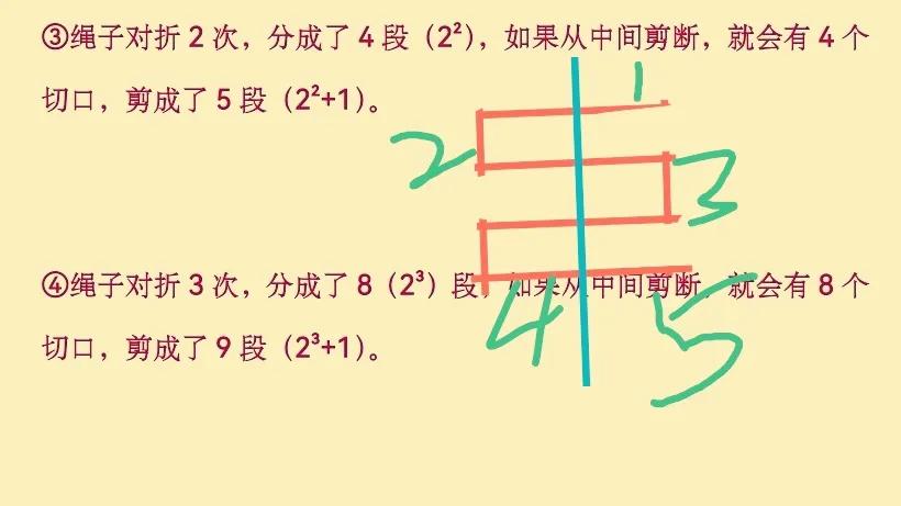 绳子对折再剪问题,绳子对折剪断问题公式