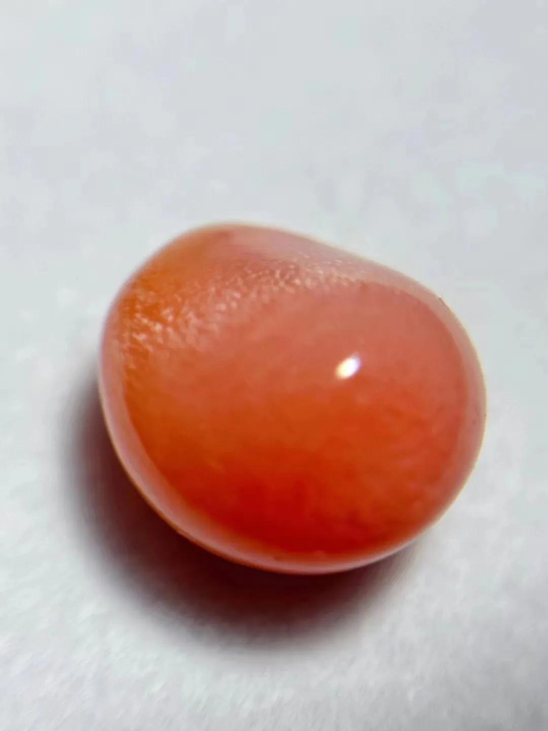 海螺珠价格多少钱一颗,海螺珠珠宝