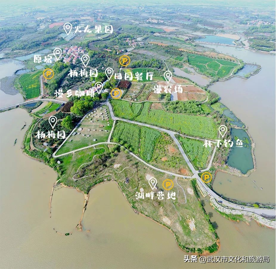 中秋露营赏月美文,中秋赏月全攻略