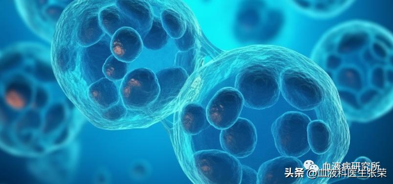 再生障碍性贫血atg治疗费用,atg治疗重型再生障碍贫血复发