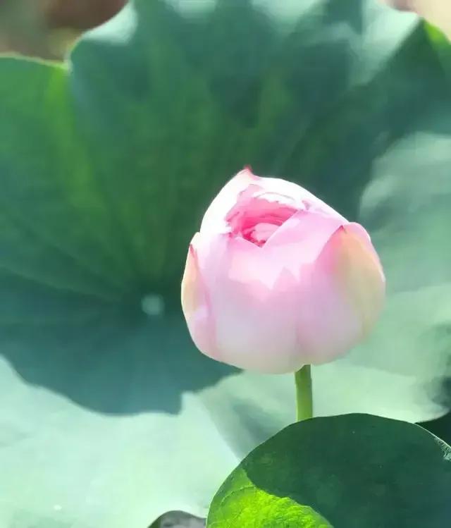 睡觉四肢瘫软无法动弹,20岁小伙突然四肢瘫痪