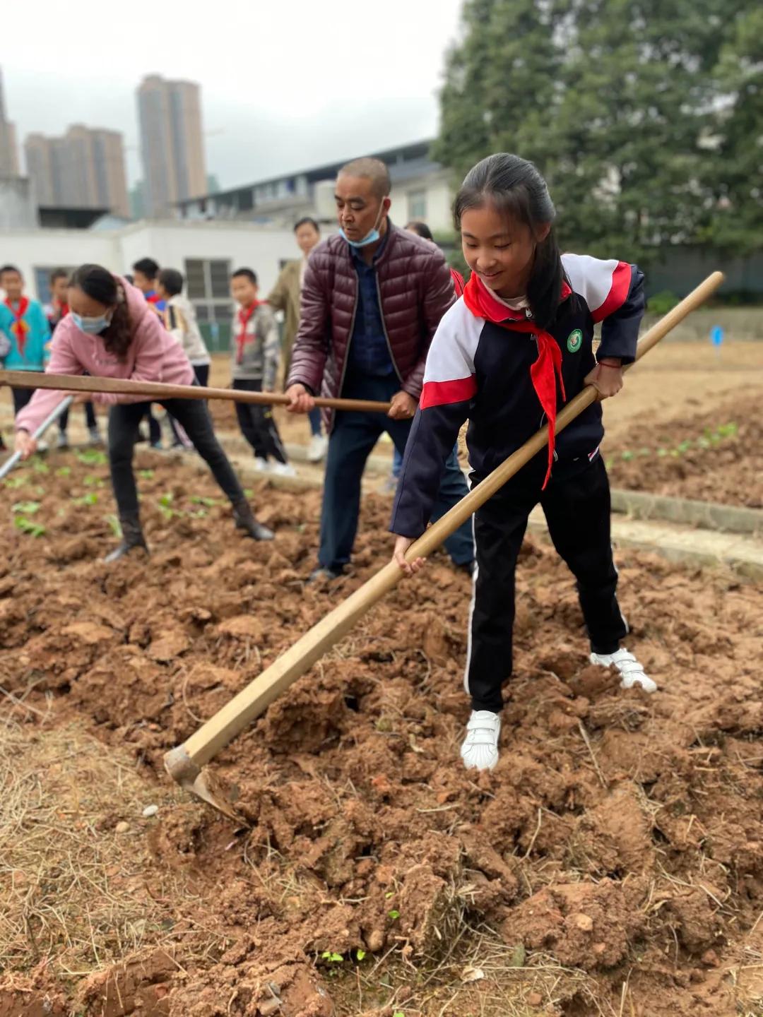 为家乡打call歌曲,为家乡打call