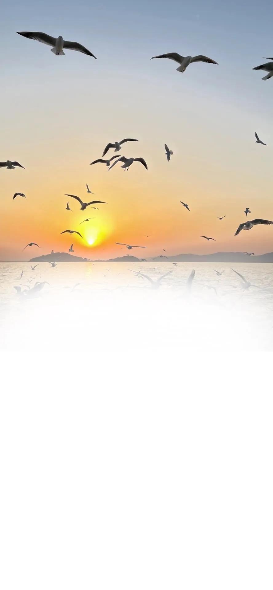 渐变聊天背景,渐变色聊天背景图教程