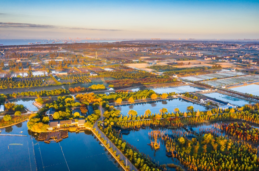 上海崇明生活是一种什么体验,崇明岛居住体验