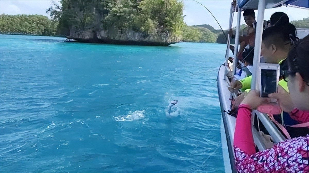 帕劳停飞航班,帕劳停飞雅浦要取行李吗